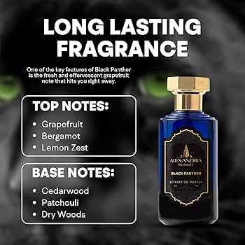 Amazon.com : Alexandria Fragrances Black Panther Perfume - Long